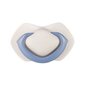 Silikoonist sümmeetrilised lutid Canpol babies, Pure Color 6-18 kuud, 2 tk, 22/645 blue hind ja info |  Lutid | hansapost.ee