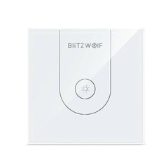 Wi-Fi Smart Water Heater Switch BlitzWolf BW-SS10 hind ja info | Pistikupesad ja lülitid | hansapost.ee