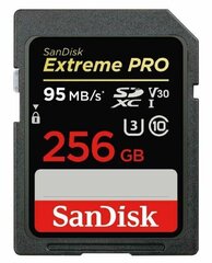 Sandisk от Western Digital SDSDXXD-256G-GN4IN 256 ГБ цена и информация | Карты памяти для телефонов | hansapost.ee