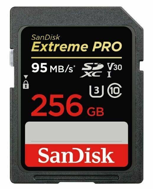Sandisk By Western Digital SDSDXXD-256G-GN4IN 256 GB hind ja info | Mälukaardid mobiiltelefonidele | hansapost.ee