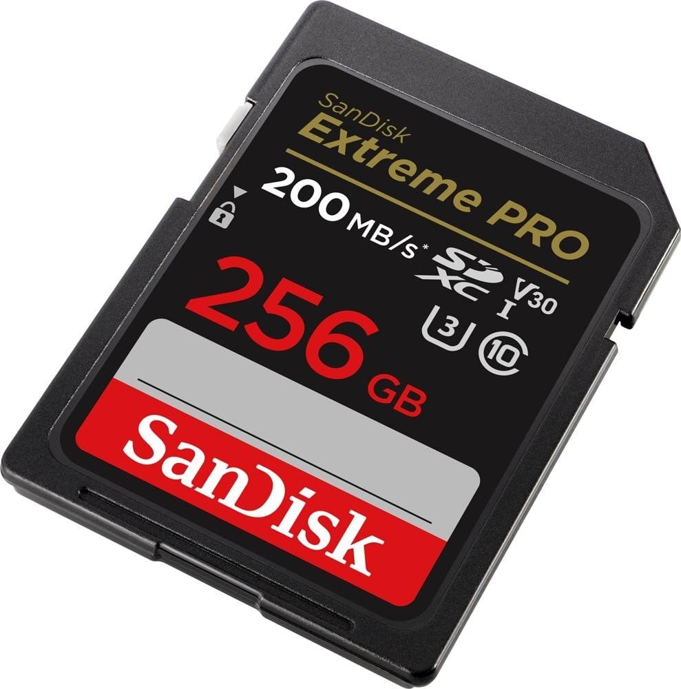 Sandisk By Western Digital SDSDXXD-256G-GN4IN 256 GB цена и информация | Mälukaardid mobiiltelefonidele | hansapost.ee