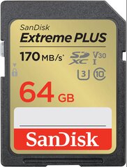Sandisk от Western Digital SDSDXW2-064G-GNCIN 64 ГБ цена и информация | Карты памяти для телефонов | hansapost.ee