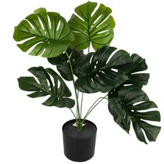 Kunstlik monstera potis, 58 cm цена и информация | Детали интерьера | hansapost.ee