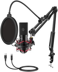 Студийный микрофонный комплект Fifine T732 цена и информация | Микрофоны | hansapost.ee