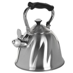 Non-electric kettle Maestro MR-1305 Stainless steel 3L hind ja info | Teekannud, kohvikannud, veekeedukannud | hansapost.ee