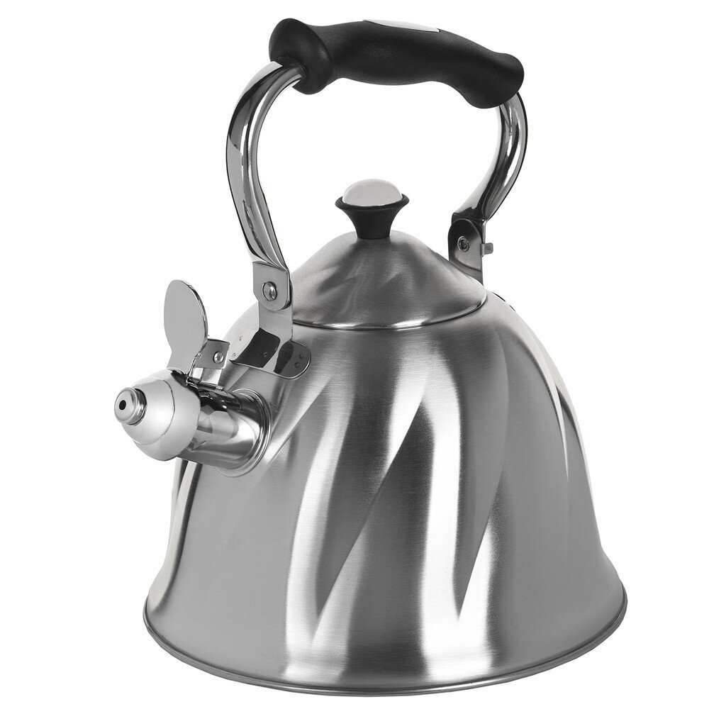 Non-electric kettle Maestro MR-1305 Stainless steel 3L цена и информация | Teekannud, kohvikannud, veekeedukannud | hansapost.ee