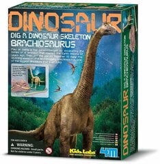 4M KIDZ LABS Brachiosauruse luukere hind ja info | Arendavad laste mänguasjad | hansapost.ee