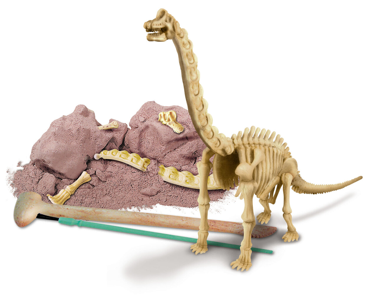 4M KIDZ LABS Brachiosauruse luukere hind ja info | Arendavad laste mänguasjad | hansapost.ee