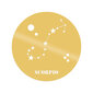 Metallist seinadekoratsioon Scorrpio Horoscope Gold, 48x48 cm hind ja info | Sisustuselemendid | hansapost.ee