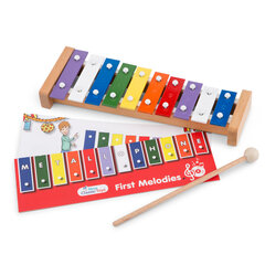Музыкальный инструмент - Металлофон (10 нот), New Classic Toys 10215 цена и информация | Развивающие игрушки для детей | hansapost.ee