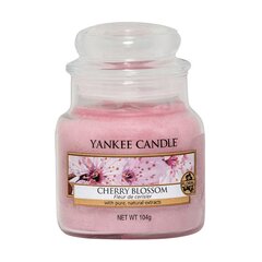 Yankee Candle Cherry Blossom Candle - Scented candle 104.0g hind ja info | Küünlad, küünlajalad | hansapost.ee
