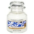 Yankee Candle Midnight Jasmine - Aromatic Candle 104.0g