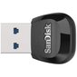 SanDisk SDDR-B531-GN6NN цена и информация | Mälupulgad | hansapost.ee