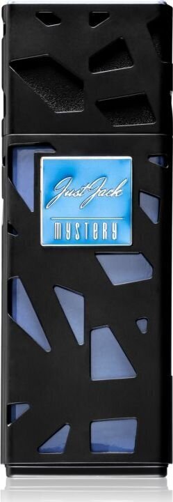 Parfüümvesi Armaf Just Jack Mystery EDP meestele, 100 ml hind ja info | Parfüümid meestele | hansapost.ee