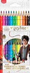 Värvilised pliiatsid Maped Harry Potter 12tk цена и информация | Принадлежности для рисования, лепки | hansapost.ee