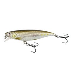 Vobler SG 3D Twitch Minnow SS, 6.6cm, 5g цена и информация | Воблеры, приманки, блесны | hansapost.ee