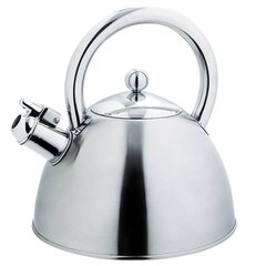 Чайник Maestro, серебряный цена и информация | Maestro Кухонные товары, товары для домашнего хозяйства | hansapost.ee