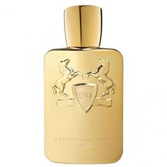 Parfums de Marly Godolphin eau de parfum for men 125 ml цена и информация | Мужские духи | hansapost.ee