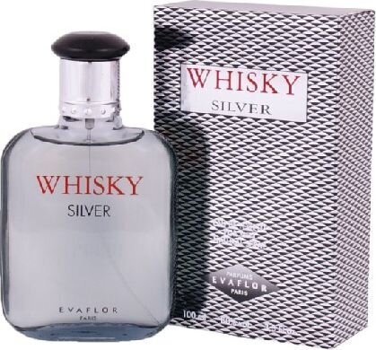 Tualettvesi Evaflor Whisky Silver For Men EDT meestele, 100 ml цена и информация | Parfüümid meestele | hansapost.ee