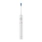 FairyWill Sonic toothbrush with head set and case FW-P11 (white) цена и информация | Elektrilised hambaharjad | hansapost.ee