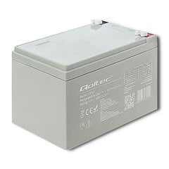 Источник бесперебойного питания Qoltec 53045 AGM battery | 12V | 14Ah | max. 210A цена и информация | Источник бесперебойного питания, UPS | hansapost.ee