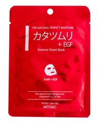 Тканевая маска для лица Mitomo Tencel Snail extract & EGF 25 г цена и информация | Маски для лица, патчи для глаз | hansapost.ee