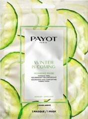 Питательная маска для лица Payot Winter Is Coming 1 шт. цена и информация | Маски для лица, патчи для глаз | hansapost.ee