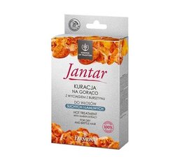 Восстанавливающие средство для сухих и поврежденных волос Farmona Jantar Hot Treatment With Amber Extract 37 мл цена и информация | Маски, масла, сыворотки | hansapost.ee