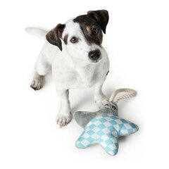 Koerte mänguasi Hunter Salima - Dog toy - Star цена и информация | Игрушки для собак | hansapost.ee