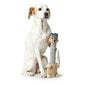 Koerte mänguasi Hunter Granby - Dog toy - 38 cm hind ja info | Koerte mänguasjad | hansapost.ee
