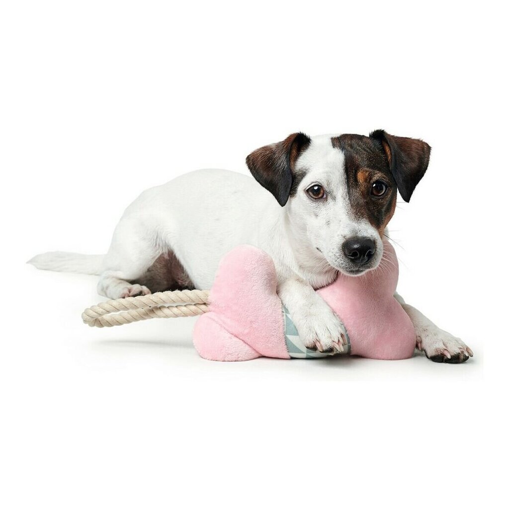 Koerte mänguasi Hunter Granby - Dog toy - 38 cm цена и информация | Koerte mänguasjad | hansapost.ee