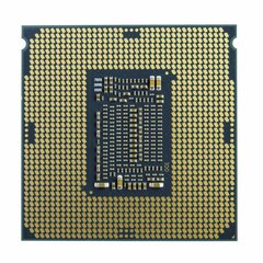 Intel BX80701G6400 hind ja info | Intel Mälupulgad ja kõvakettad | hansapost.ee