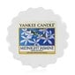 Yankee Candle Midnight Jasmine Wax Melt - Aromatic wax for aroma lamps 22.0g цена и информация | Küünlad, küünlajalad | hansapost.ee