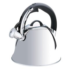 Non-electric kettle Maestro MR-1320-S Silver 2,2 L hind ja info | Teekannud, kohvikannud, veekeedukannud | hansapost.ee