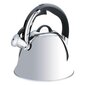 Non-electric kettle Maestro MR-1320-S Silver 2,2 L цена и информация | Teekannud, kohvikannud, veekeedukannud | hansapost.ee