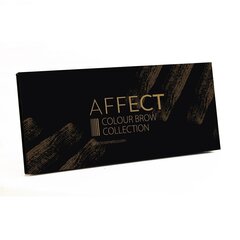 Kulmuvärvipalett Affect Collection 2 10 x 2 g hind ja info | Affect Parfüümid, lõhnad ja kosmeetika | hansapost.ee