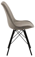 Комплект из 2 обеденных стульев Eris, бежевого цвета цена и информация | Стулья для кухни и столовой | hansapost.ee