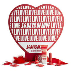 Большой набор для удовольствий Loveboxxx 14-Days of Love цена и информация | Наборы секс-товаров | hansapost.ee