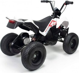 Электрический квадроцикл Injusa X-Treme Dirt, 24В цена и информация | Электромобили для детей | hansapost.ee