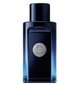 Tualettvesi Antonio Banderes The Icon EDT meestele 100 ml hind ja info | Parfüümid meestele | hansapost.ee