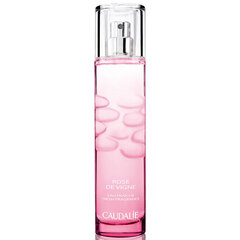 Naiste parfüüm Caudalie Rose de Vigne (50 ml) hind ja info | Parfüümid naistele | hansapost.ee