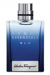 Tualettvesi Salvatore Ferragamo Acqua Essenziale Blu EDT meestele 100 ml hind ja info | Parfüümid meestele | hansapost.ee