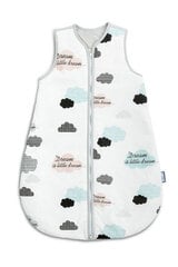 Magamiskott beebidele Sensillo Cloud S, 45x70cm hind ja info | Laste voodipesu | hansapost.ee