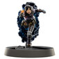 Weta Workshop Apex Legends: Wraith hind ja info | Fännitooted mänguritele | hansapost.ee