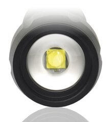 LED flashlight everActive FL-300+ hind ja info | Taskulambid, pealambid ja prožektorid | hansapost.ee