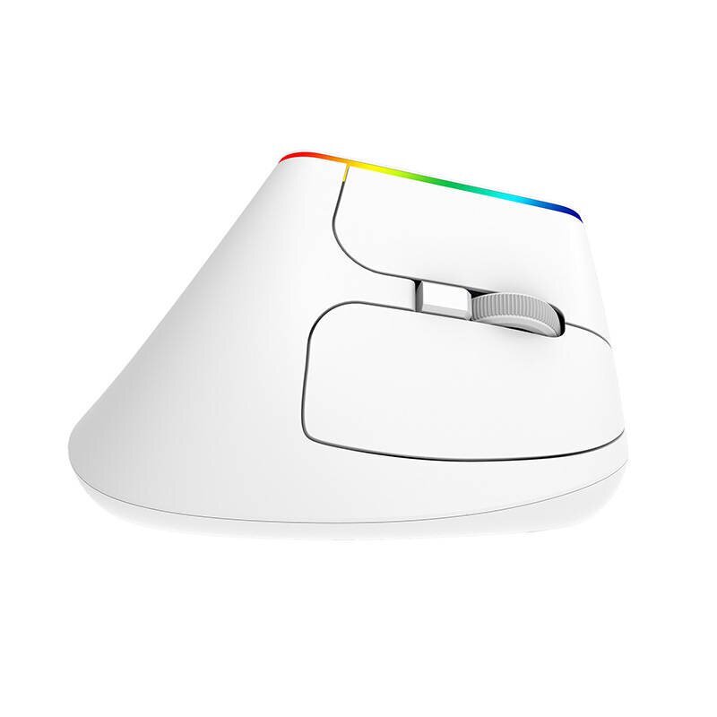 Wireless Vertical Mouse Delux M618C 2.4G 1600DPI RGB (white) hind ja info | Arvutihiired | hansapost.ee