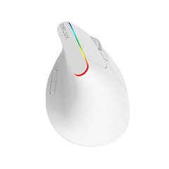 Мышь Wireless Vertical Mouse Delux M618C 2.4G 1600DPI RGB, белая цена и информация | Мыши | hansapost.ee