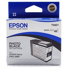 Tindikassett printerile Epson, Stylus PRO 3800, 80ml hind ja info | Tindiprinteri kassetid | hansapost.ee