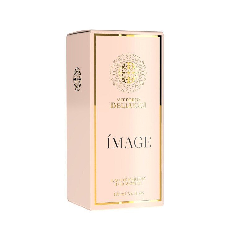 Parfüümvesi Vittorio Bellucci Desire Woman EDP naistele 100 ml hind ja info | Parfüümid naistele | hansapost.ee