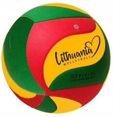 Мяч волейбольный Tomaz Sport AM-LLW05 цена и информация | Волейбольные мячи | hansapost.ee
